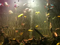 マカオ海事博物館の写真・動画_image_479816