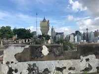 Monte Fortの写真・動画_image_479821