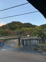 嵐山の写真・動画_image_479954