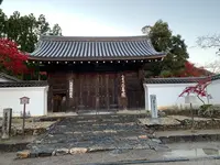 嵐山の写真・動画_image_479957
