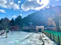 嵐山の写真・動画_image_479959