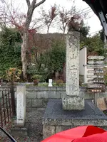 嵐山の写真・動画_image_479964