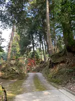 諏訪神社の写真・動画_image_480036