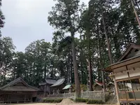 諏訪神社の写真・動画_image_480037