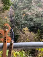 常清滝の写真・動画_image_480050