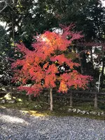 大多喜城の写真・動画_image_480349