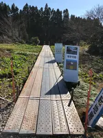 チバニアンビジターセンターの写真・動画_image_480354