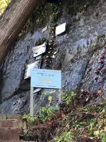 チバニアン 地球磁場逆転地層の写真・動画_image_480355