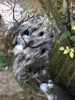 チバニアン 地球磁場逆転地層の写真・動画_image_480356