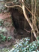 チバニアン 地球磁場逆転地層の写真・動画_image_480357