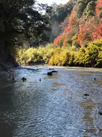 チバニアン 地球磁場逆転地層の写真・動画_image_480362