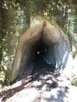 永昌寺トンネルの写真・動画_image_480370