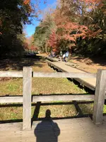 亀岩の洞窟の写真・動画_image_480390
