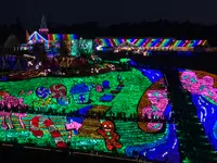 東京ドイツ村の写真・動画_image_480395
