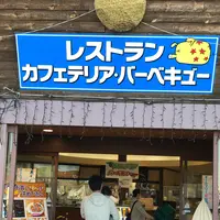 東京ドイツ村の写真・動画_image_480400
