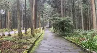 天狗の小径の写真・動画_image_480668