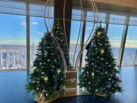 Edgeの写真・動画_image_480767