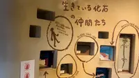 瑞穂ハンザケ自然館の写真・動画_image_480849