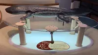 瑞穂ハンザケ自然館の写真・動画_image_480850