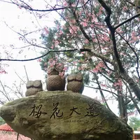 九族文化村の写真・動画_image_480968