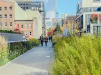 ハイ・ラインの写真・動画_image_481140