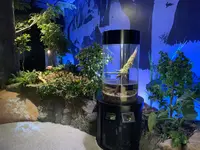 足摺海洋館の写真・動画_image_481206