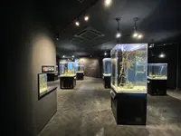 足摺海洋館の写真・動画_image_481207
