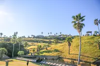 サンメッセ日南の写真・動画_image_481307