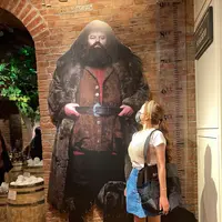 Harry Potter New Yorkの写真・動画_image_481469