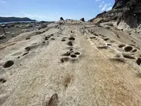 竜串海岸の写真・動画_image_482222