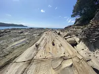 竜串海岸の写真・動画_image_482225