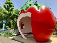 フルーツバス停の写真・動画_image_482407
