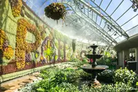 ザ・カリの写真・動画_image_482470