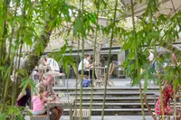 Bodhi Restaurantの写真・動画_image_482477