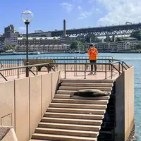 ベネロン・ポイントの写真・動画_image_482552