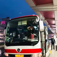 羽田空港第1旅客ターミナルの写真・動画_image_482583
