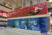 イオンモール沖縄ライカムの写真・動画_image_483118