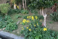 中城城跡の写真・動画_image_483134