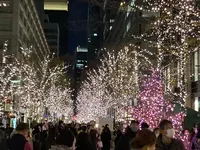 丸の内ストリートパークの写真・動画_image_483296