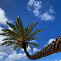 Sunset Beachの写真・動画_image_483554