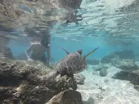 シャークスコーブの写真・動画_image_483576