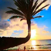 Sunset Beachの写真・動画_image_483581
