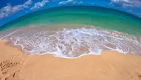 Sunset Beachの写真・動画_image_483583