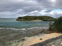 備瀬のフクギ並木の写真・動画_image_483639