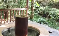 道後温泉 ふなやの写真・動画_image_483677