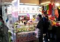 嘉義文化路夜市の写真・動画_image_483767