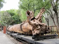 嘉義製材所園区第二代製材工場の写真・動画_image_483770
