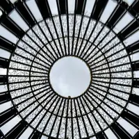 森林の歌の写真・動画_image_483777
