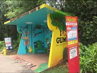 タモンの写真・動画_image_483887