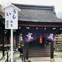 下鴨神社（賀茂御祖神社）の写真・動画_image_483938